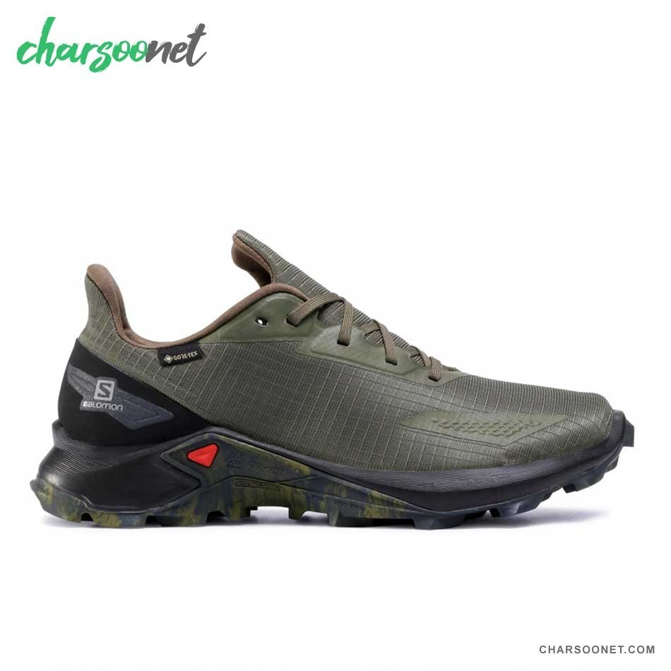 کفش کوهنوردی مردانه سالومون ضدآب Salomon Alphacross Blast GTX