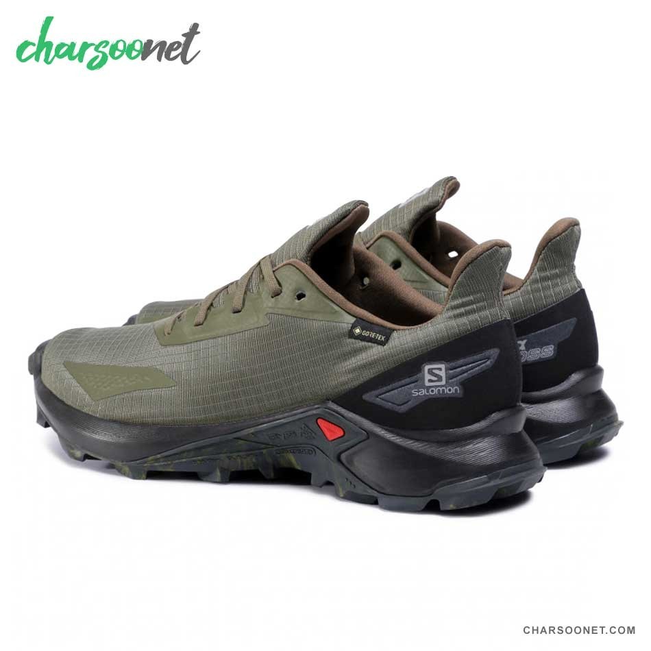 کفش کوهنوردی مردانه سالومون ضدآب Salomon Alphacross Blast GTX