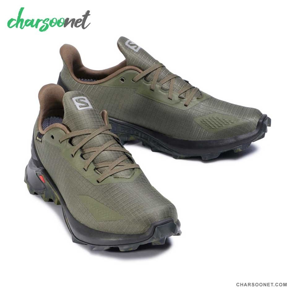 کفش کوهنوردی مردانه سالومون ضدآب Salomon Alphacross Blast GTX