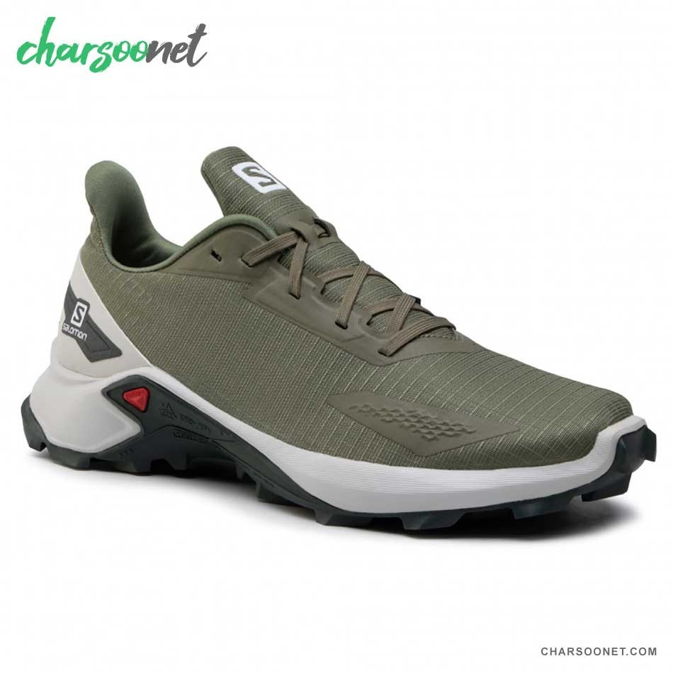 کفش رانینگ سالومون مردانه Salomon Alphacross Blast 412850
