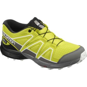 کفش ورزشی سالومون مدل salomon speedcross cswp کد 409570