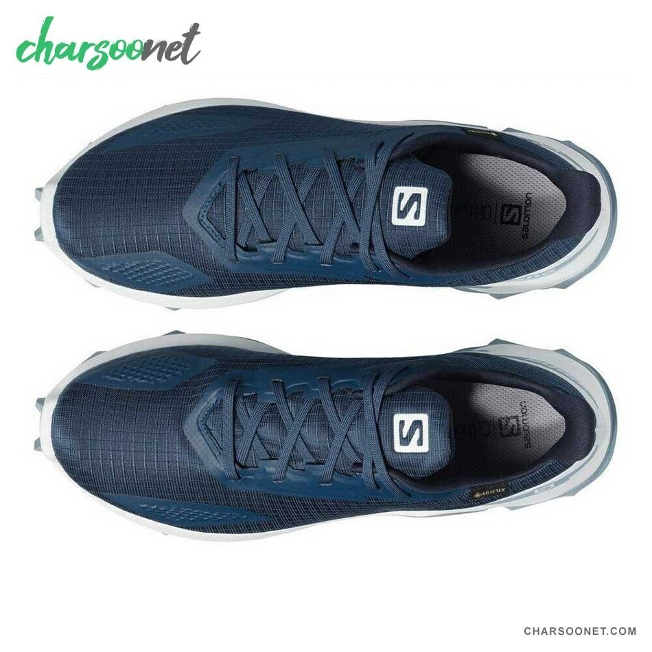 کفش تریال رانینگ سالومون مدل Salomon Alphacross Blast Gore-Tex کد 411060