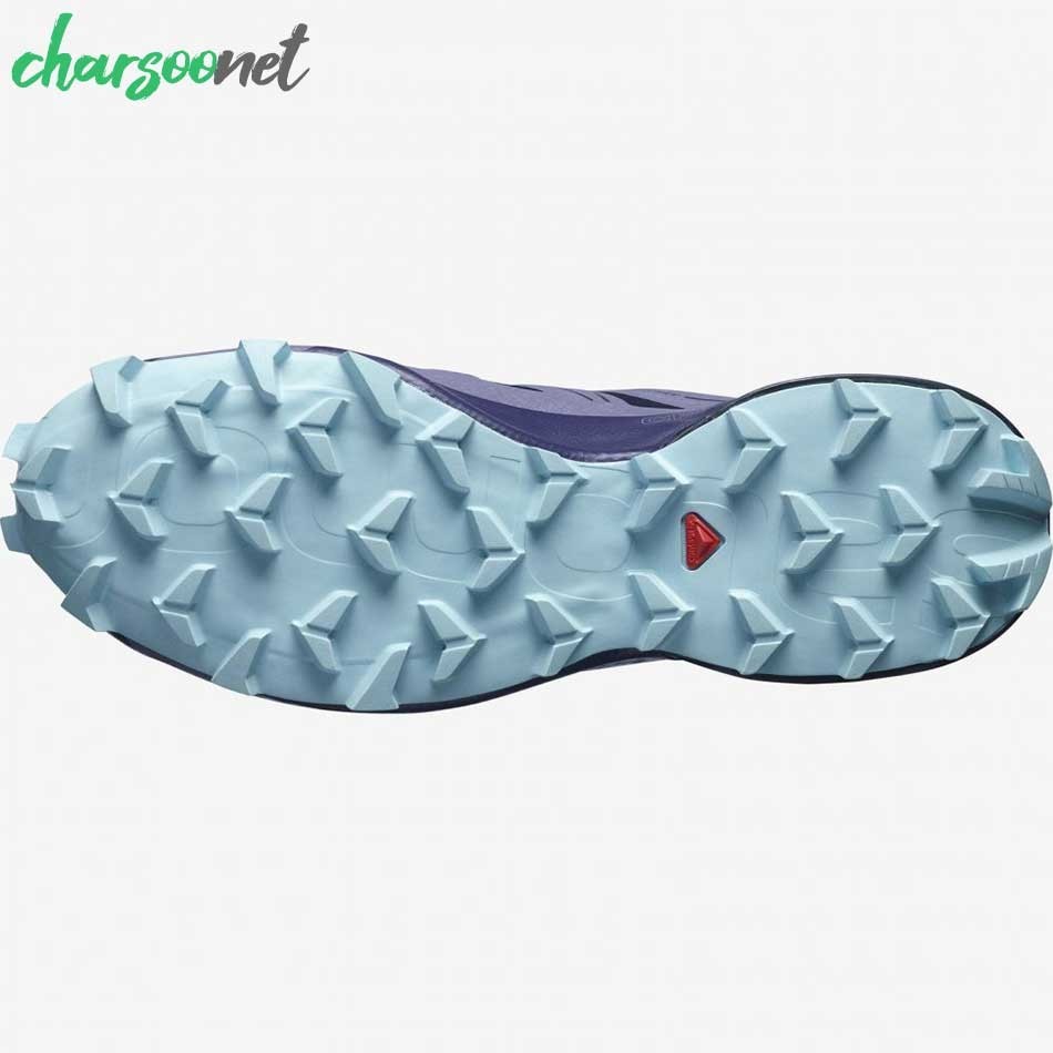 کفش ورزشی سالومون مدل Salomon Speedcross 5 Gtx کد 414618