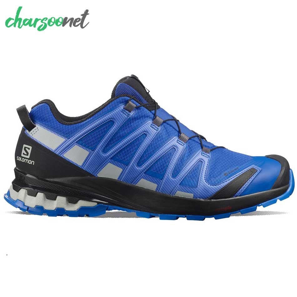 کفش کوهنوردی سالومون مدل SALOMON XA PRO 3D V8 GTX کد 412746