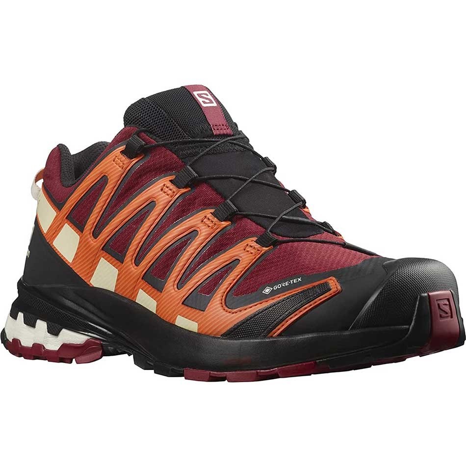 کفش کوهنوردی سالومون مدل Salomon Xa Pro 3D V8 GTx کد 415635