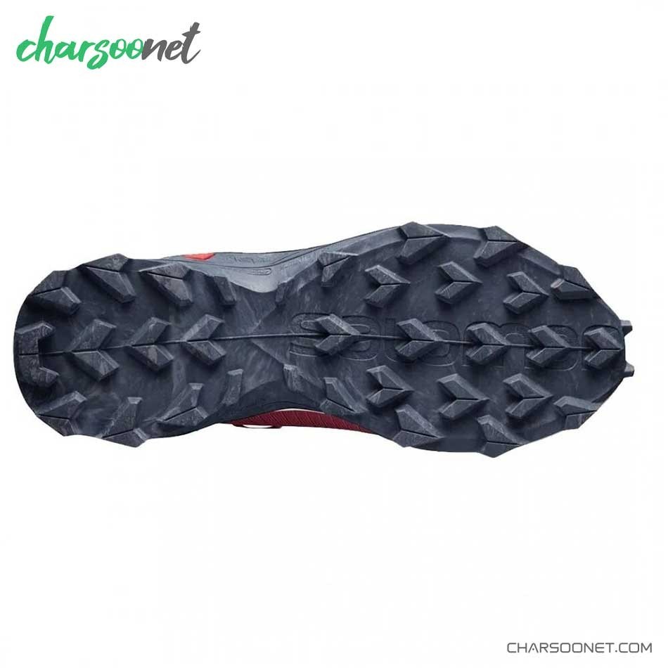 کفش رانینگ سالومون مدل Salomon Alphacross Blast Gore-Tex کد 411065