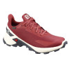 کفش رانینگ سالومون مدل Salomon Alphacross Blast Gore-Tex کد 411065