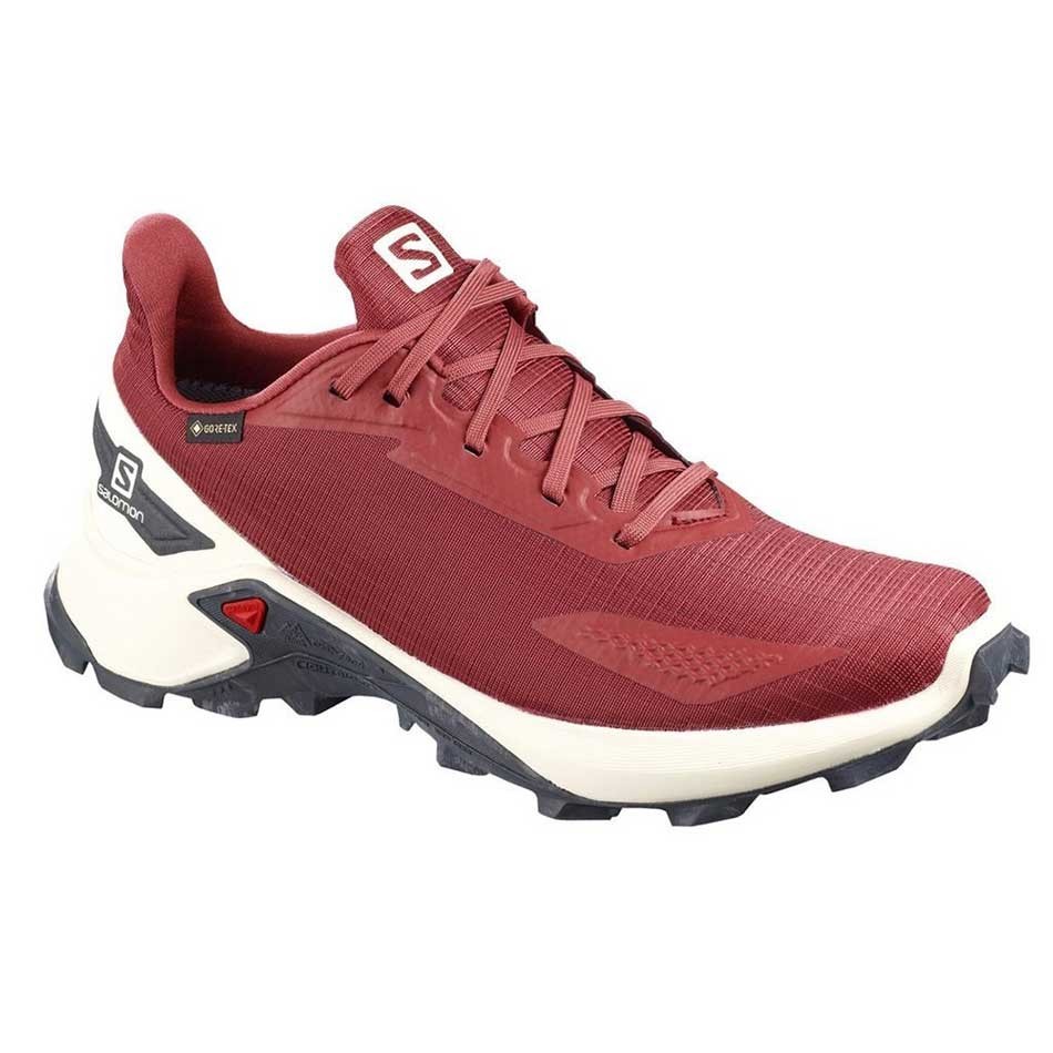 کفش رانینگ سالومون مدل Salomon Alphacross Blast Gore-Tex کد 411065