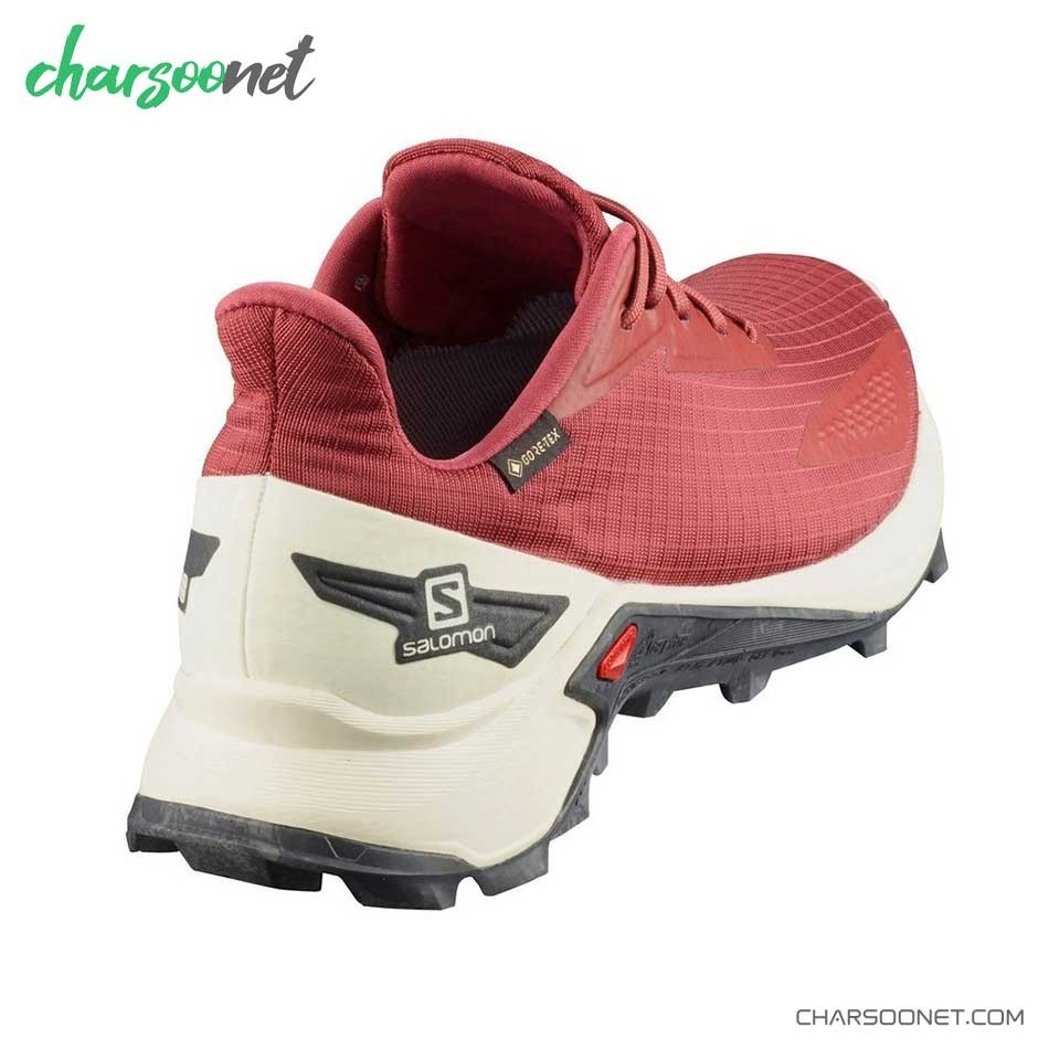 کفش رانینگ سالومون مدل Salomon Alphacross Blast Gore-Tex کد 411065