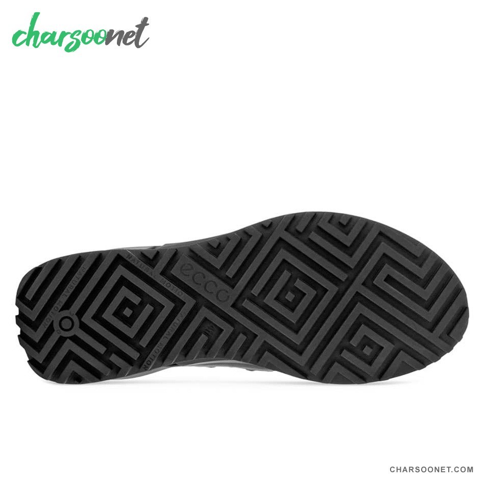 کفش پیاده روی و دویدن ضدآب اکو بایوم Ecco BIOM 2 GTX TEX