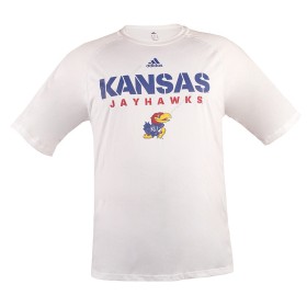 تیشرت مردانه اصل آدیداس Kansas Jayhawks