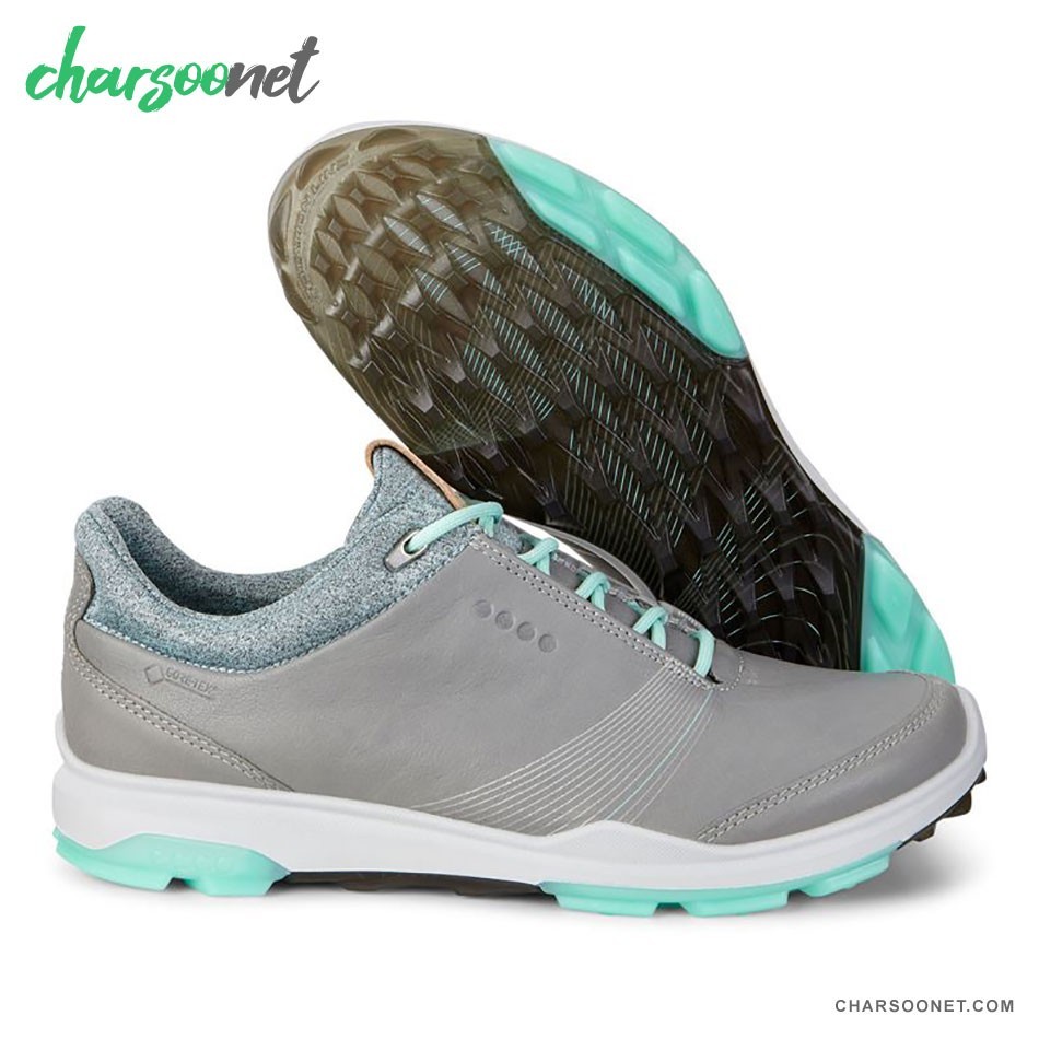 کفش پیاده روی و دویدن اکو زنانه Ecco Biom Hybrid 3