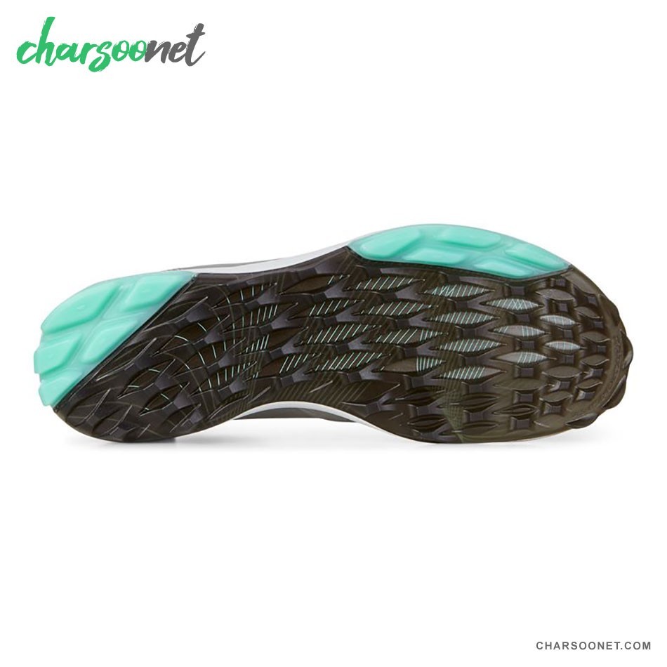 کفش پیاده روی و دویدن اکو زنانه Ecco Biom Hybrid 3