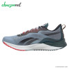 کفش رانینگ مردانه ریباک Reebok Floatride Energy 3