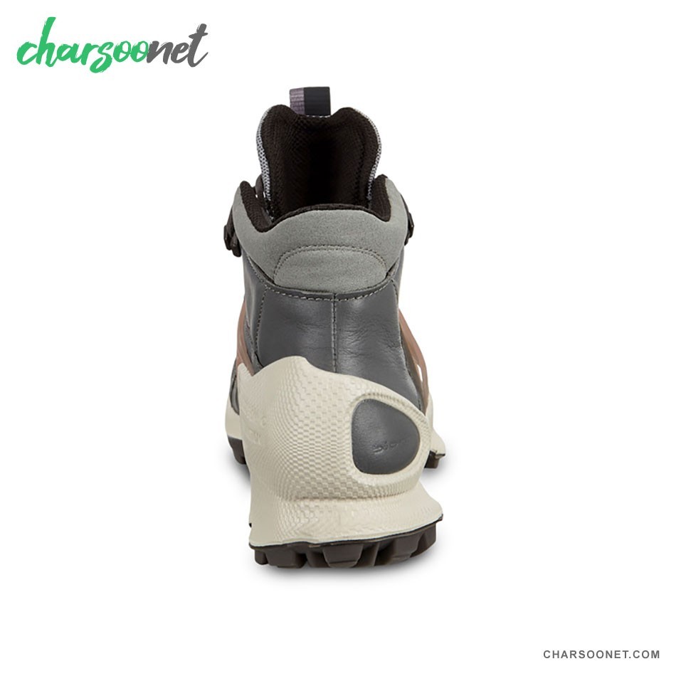 کفش پیاده روی اکو ضدآب زنانه Ecco Biom C-Trail