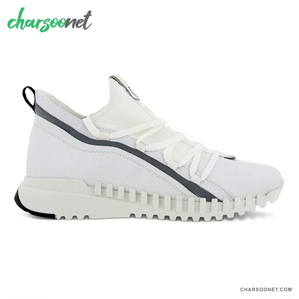 کفش پیاده روی و دویدن اکو مردانه Ecco Zipflex