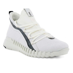 کفش پیاده روی و دویدن اکو مردانه Ecco Zipflex