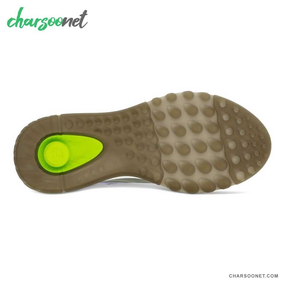 کفش پیاده روی و دویدن زنانه اکو Ecco ST.1