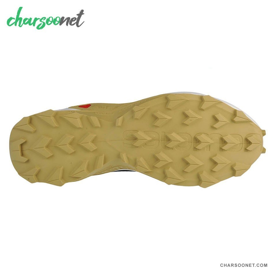 کفش پیاده روی و دویدن سالامون مردانه Salomon Alphacross 3