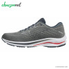 کفش پیاده روی و دویدن میزانو مردانه Mizuno Wave Rider 25