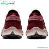 کفش اسپرت زنانه نایکی مدل Nike Pegasus Trail 2  کد ck4309-600