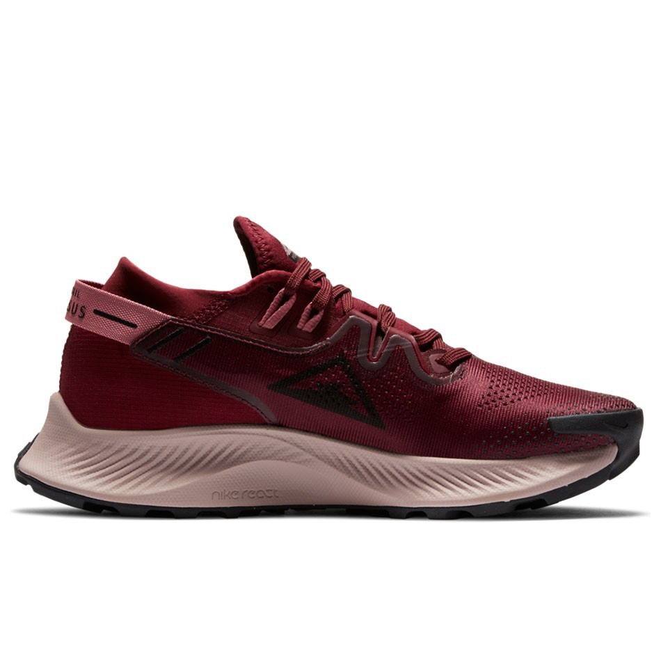 کفش اسپرت زنانه نایکی مدل Nike Pegasus Trail 2  کد ck4309-600