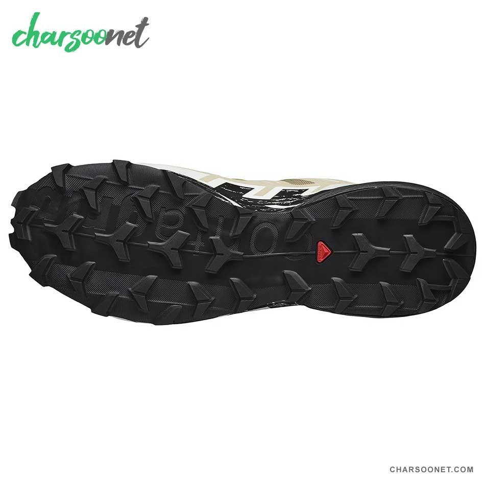 کفش ورزشی ضدآب سالومون مردانه Salomon Speedcross 6 GTX