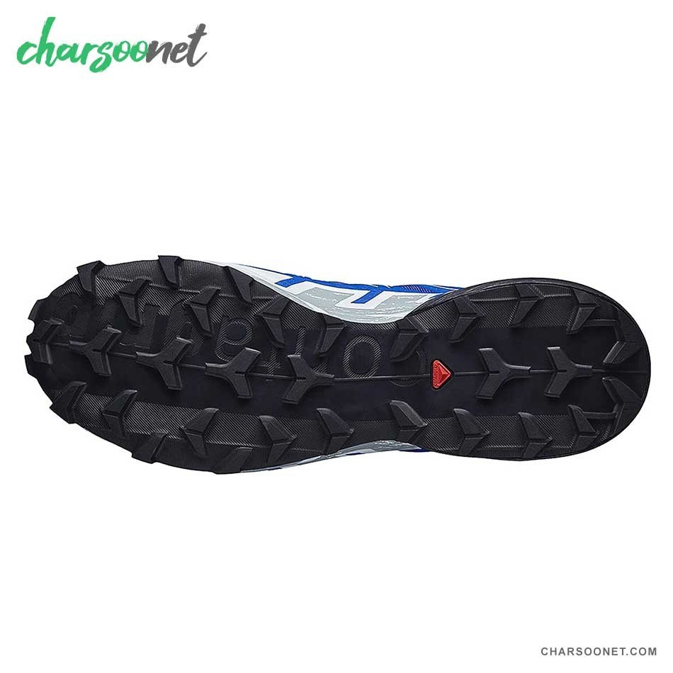 کفش پیاده روی ودویدن سالومون مردانه Salomon Speedcross 6 GTX