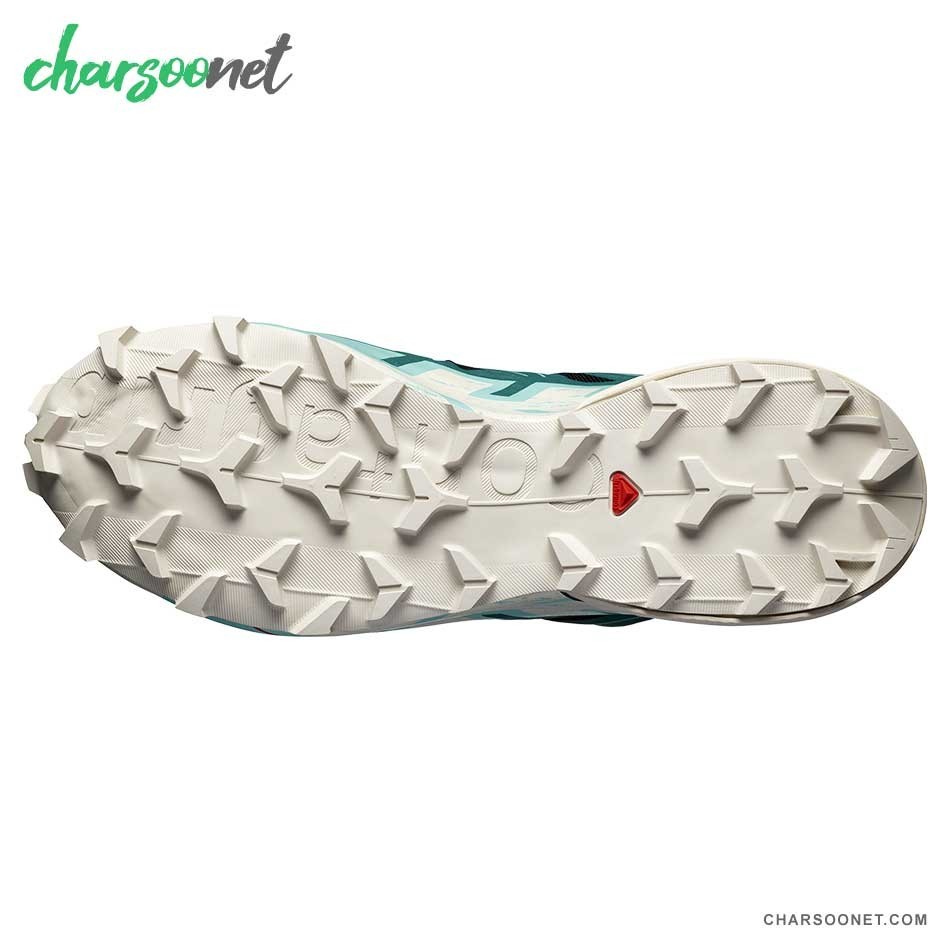 کفش پیاده روی و دویدن سالومون مردانه Salomon Speedcross 6 Gtx