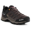 کفش کوهنوردی سالیوا مردانه Salewa Mtn Trainer Lite GTX