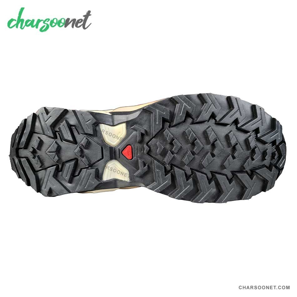 کفش پیاده روی و دویدن سالومون ضدآب زنانه Salomon X Raise 2