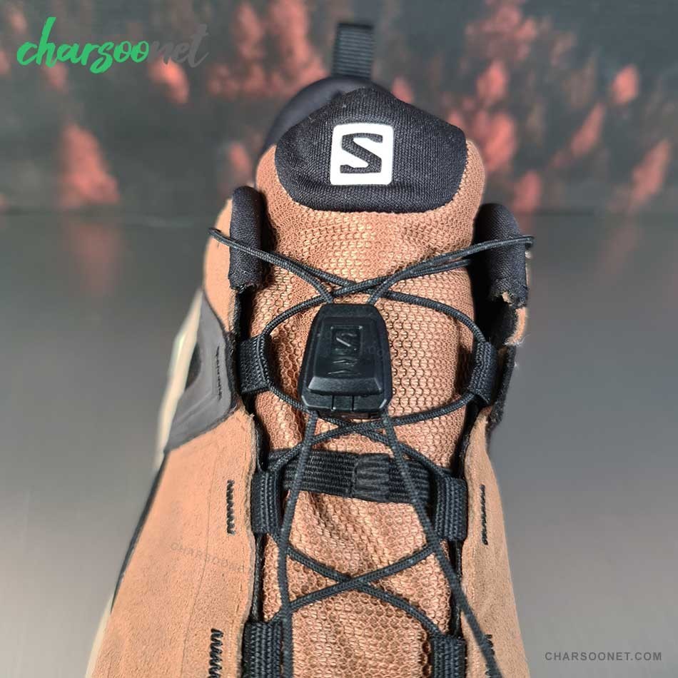کفش پیاده روی و دویدن سالومون ضدآب زنانه Salomon X Raise 2