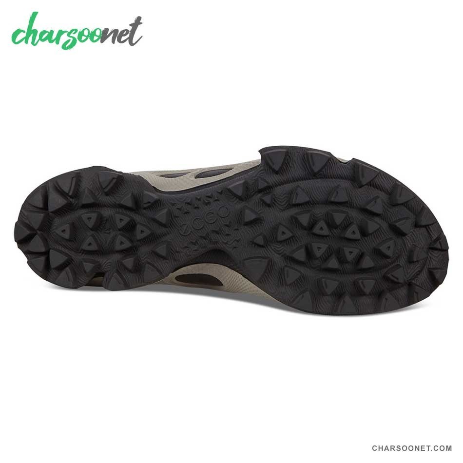 کفش پیاده روی و دویدن اکو مردانه Ecco Biom C-Trail