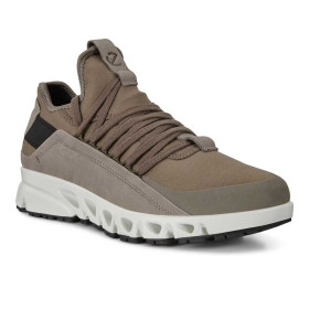 کفش پیاده روی و دویدن اکو مردانه Ecco Multi Vent