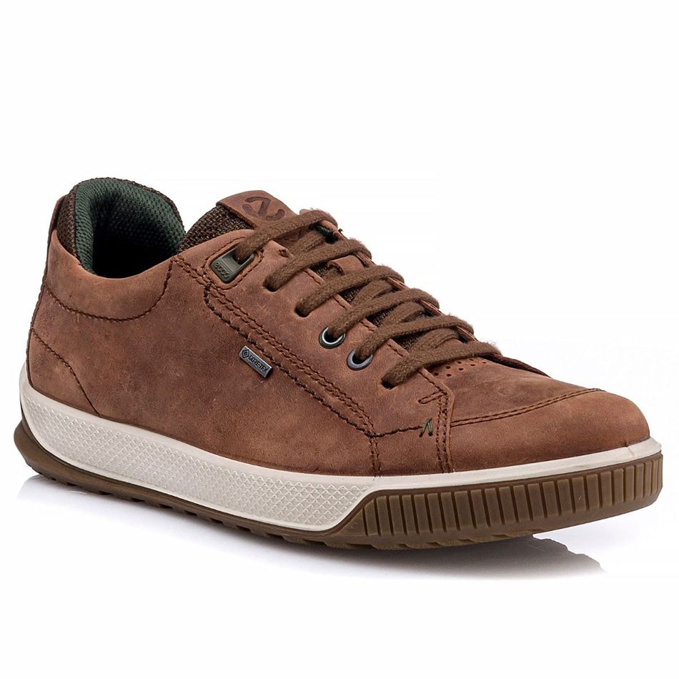 کفش راحتی ضدآب مردانه اکو Tred GTX Brandy Lace-Up