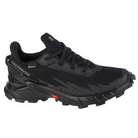 کفش پیاده روی و دویدن سالومون Salomon Alphacross 4 GTX