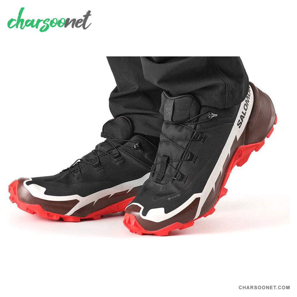 کفش پیاده روی مردانه سالومون Salomon Cross Hike Gtx 2