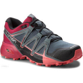 کفش ورزشی سالامون ضدآب زنانه Salomon Speedcross 4 GTX