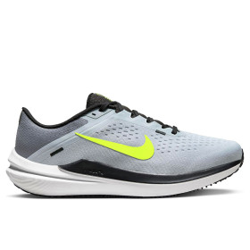 کفش پیاده روی و دویدن مردانه نایکی Nike Air Winflo 10