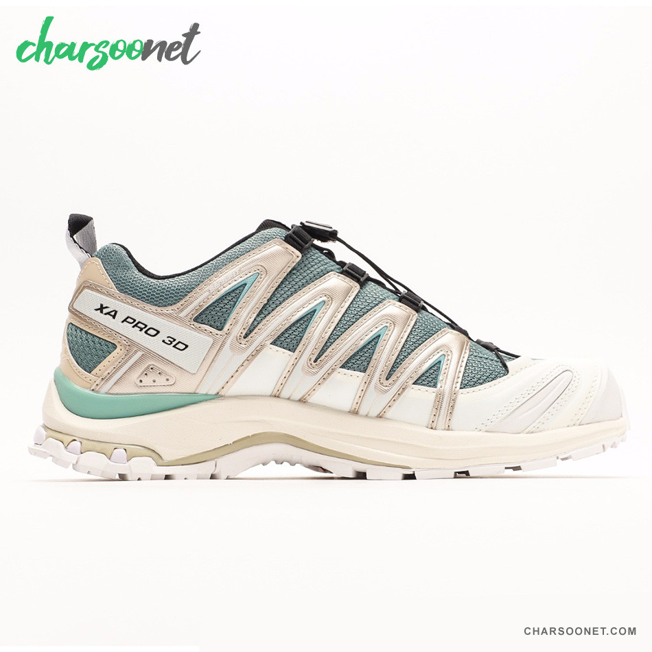 کفش ورزشی سالومون Salomon XA PRO 3D AVD