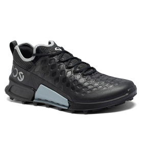 کفش چرمی مردانه اکو Ecco Biom