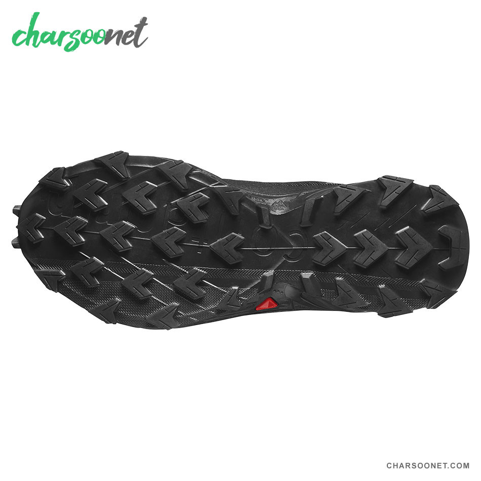 کفش پیاده روی و دویدن سالومون Salomon Alphacross 5 GTX