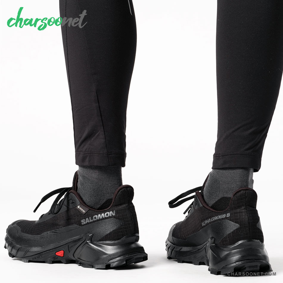 کفش پیاده روی و دویدن سالومون Salomon Alphacross 5 GTX