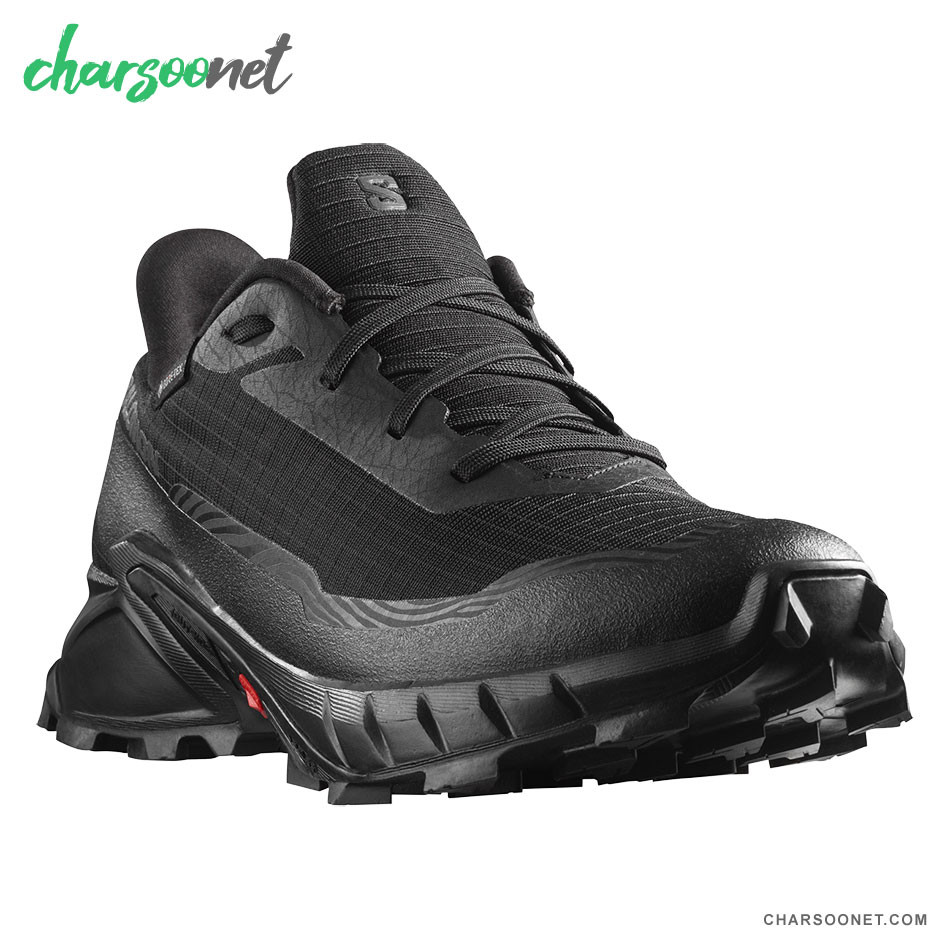 کفش پیاده روی و دویدن سالومون Salomon Alphacross 5 GTX