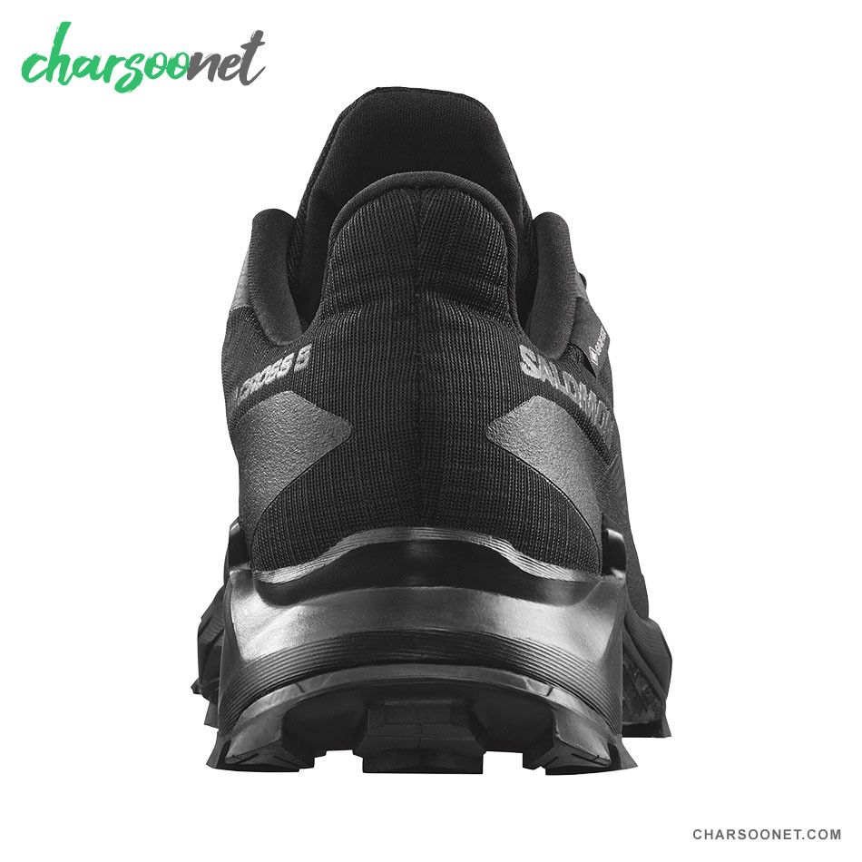 کفش پیاده روی و دویدن سالومون Salomon Alphacross 5 GTX