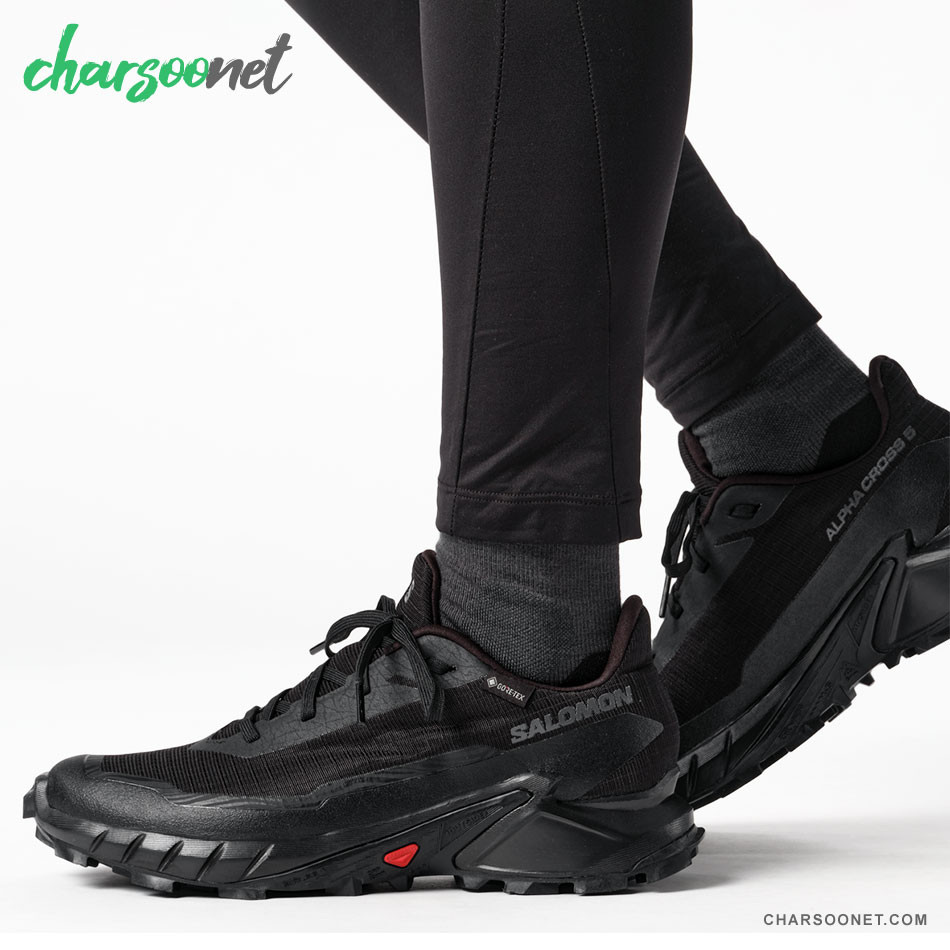 کفش پیاده روی و دویدن سالومون Salomon Alphacross 5 GTX