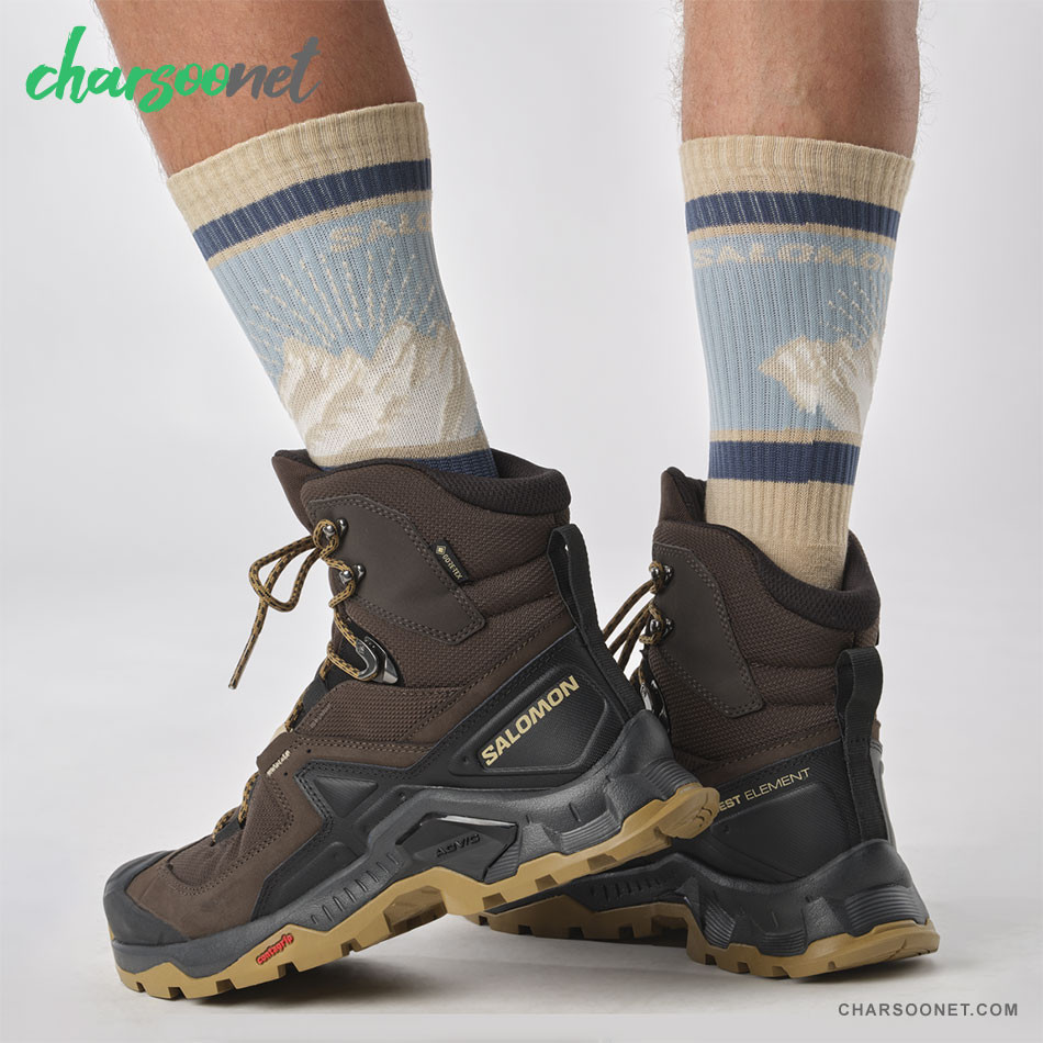 کفش کوهنوردی مردانه سالومون ضدآب Salomon Quest Element GTX