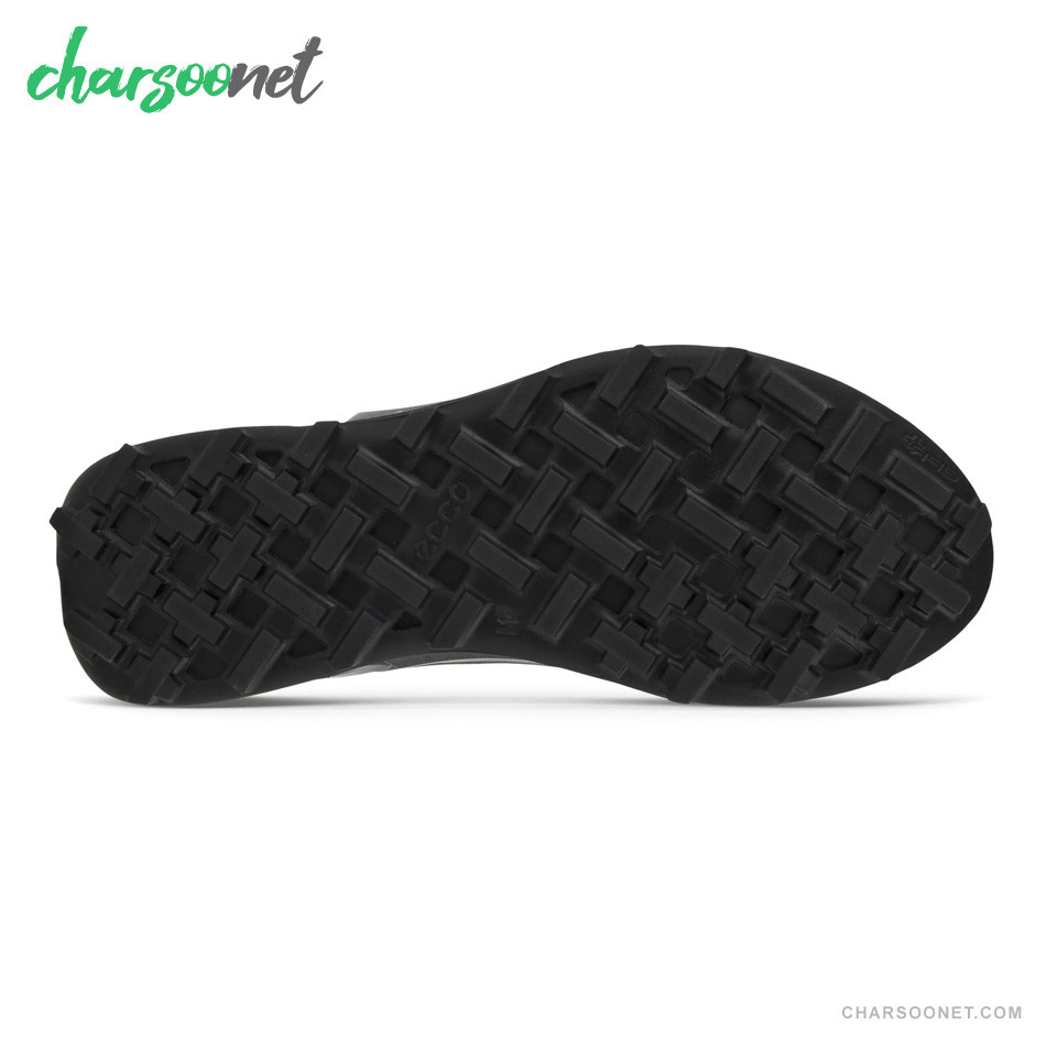 کفش پیاده روی مردانه اکو مدل BIOM 2.1 GTX