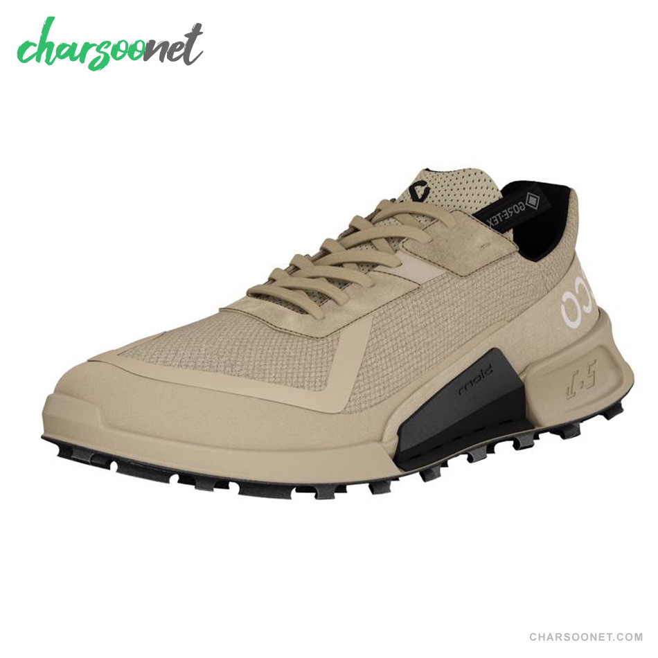 کفش ورزشی مردانه اکو مدل BIOM 2.1 X GTX
