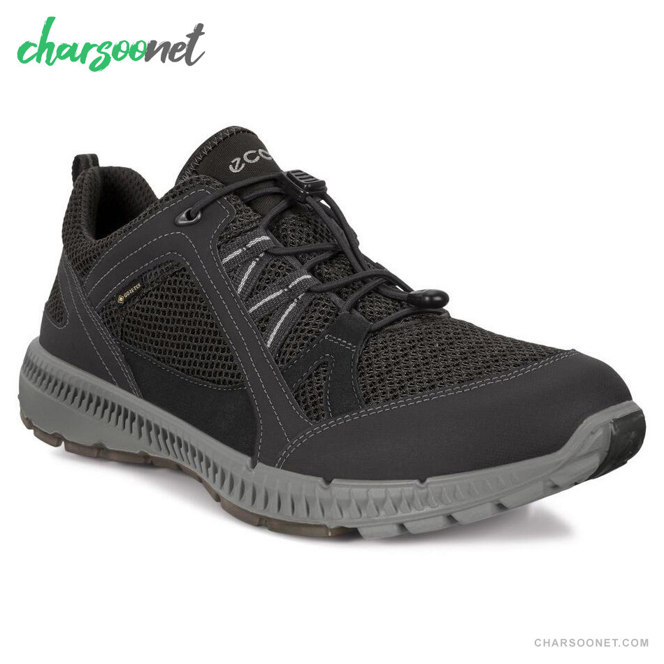 کفش ورزشی مردانه اکو مدل ECCO terracruise gtx